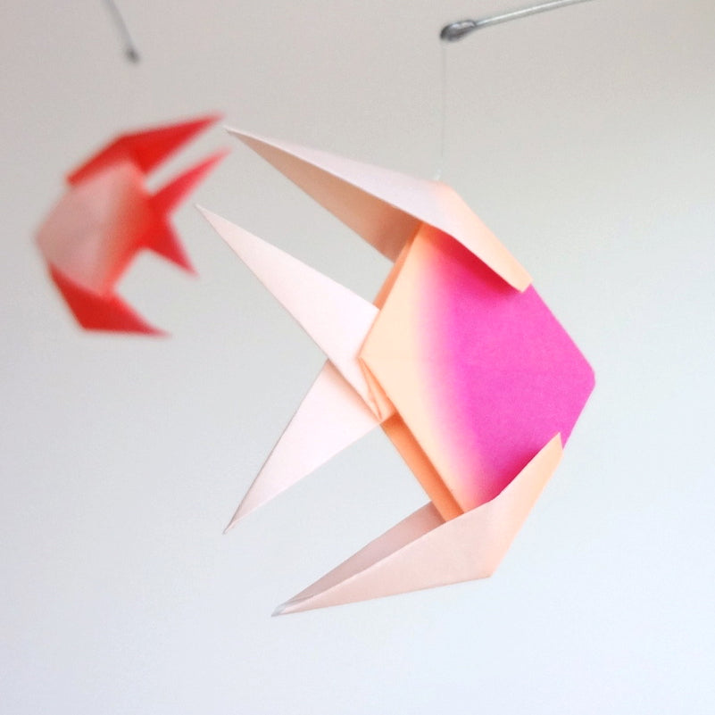 Paper Fish Mobile Tropical Paper Fish Mobile – The Timeless Crane